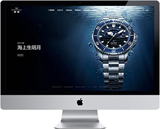 海鸥手表